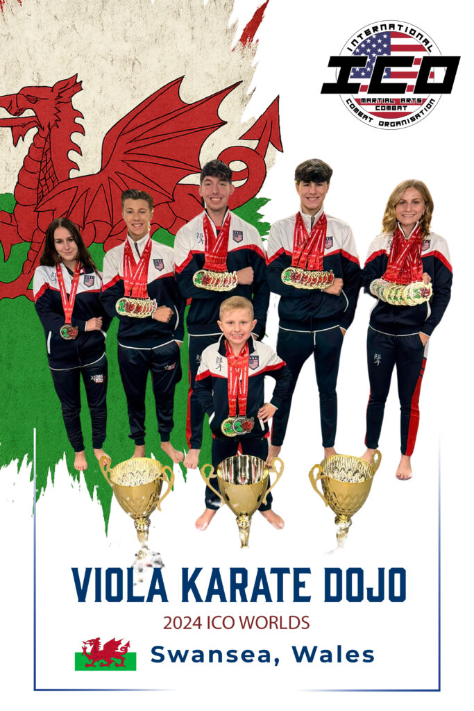 gabby viola ICO wales